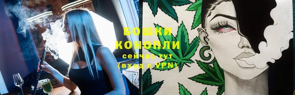 ПСИЛОЦИБИНОВЫЕ ГРИБЫ Елабуга