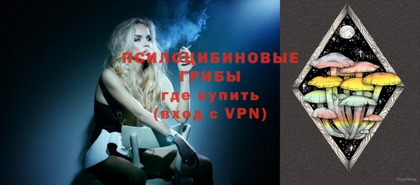 дмт Елизово