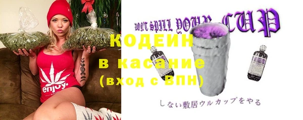 дмт Елизово