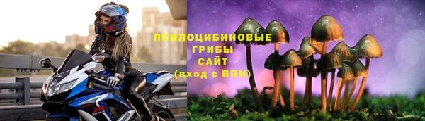 героин Ельня