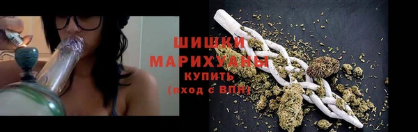 дмт Елизово