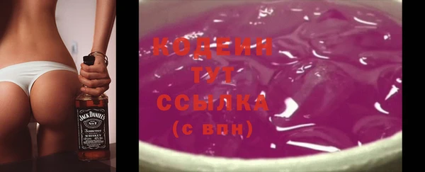 дмт Елизово