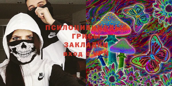 дмт Елизово