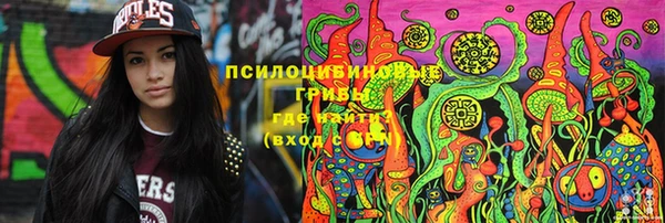 героин Ельня
