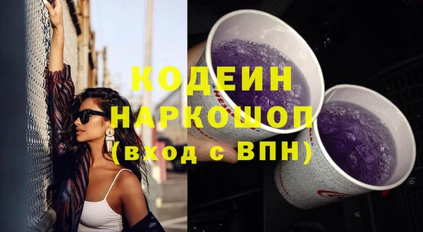 дмт Елизово