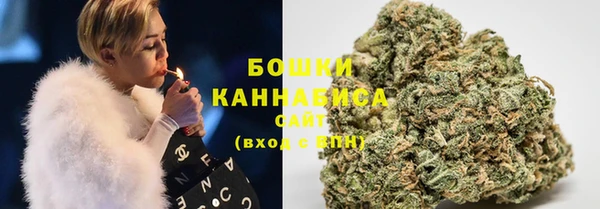 дмт Елизово